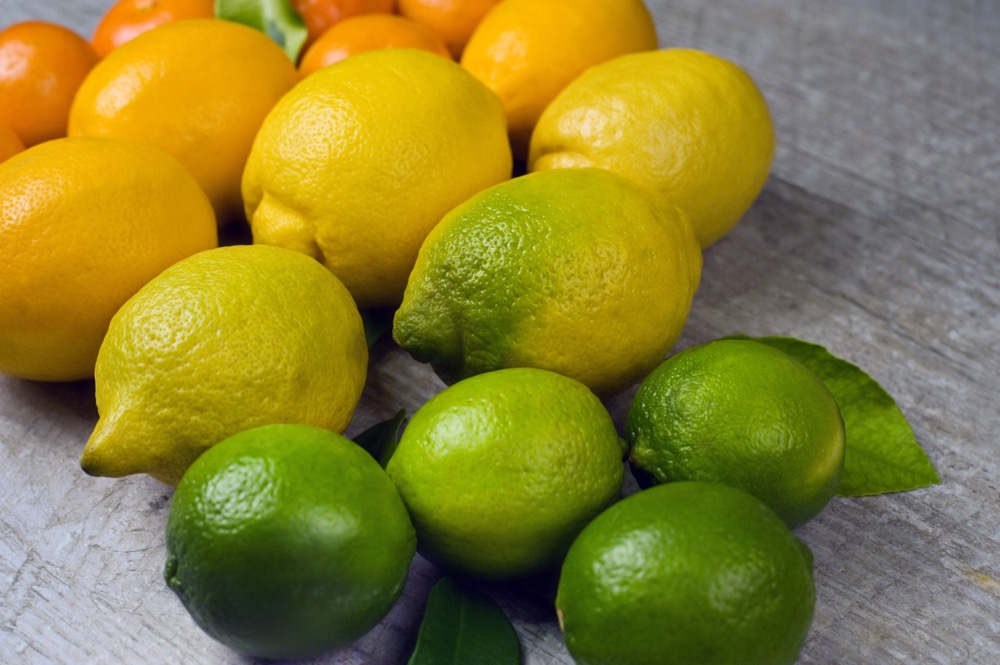 Eine Auswahl an Citrus Früchten