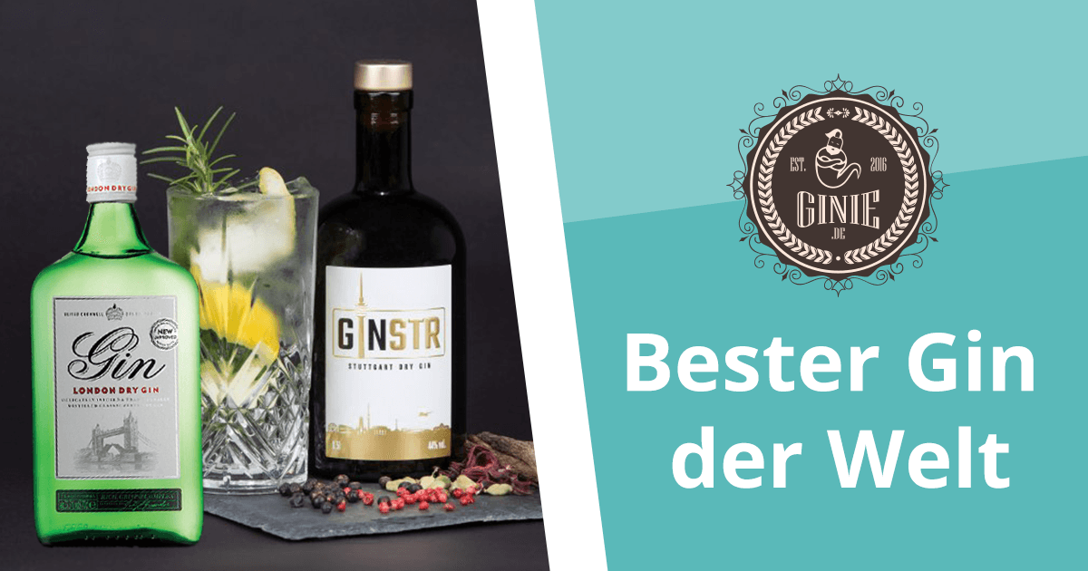 Bester Gin & Tonic der Welt 2018 GINSTR aus Stuttgart